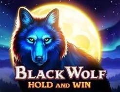 Mostbet Casino unikal slot maşını ➥ Black Wolf